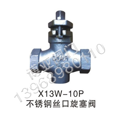 P䓽zy(X13W-10P)